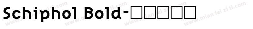 Schiphol Bold字体转换